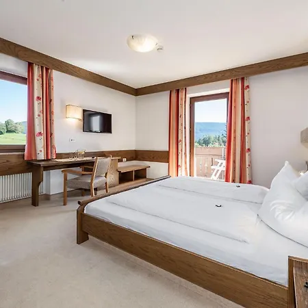 Hotel Wiedenhofer-3